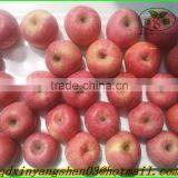 Chinese Red Fuji Apple/Apple Fresh thumbnail-2