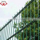Double Wire Fence