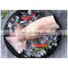 Skin on ,wing On, Head off Boston Illex Squid Tube for Export