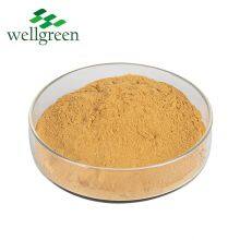 Dong Quai Root Extract Chinese Angelica Extrat Sinensis Dong Powder Ligustilide Powder thumbnail-2