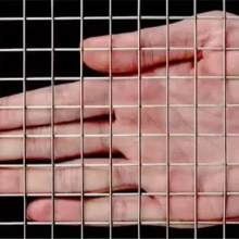 High Quality Galvanized Iron Welded Wire Mesh Panel thumbnail-4