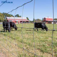 Cattle Protection Fence Durable Hot-dip Galvanized Livestock Fence thumbnail-6