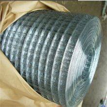 Welded Wire Mesh Rolls - Plain Weave Low Carbon Steel for Protecting Mesh thumbnail-3
