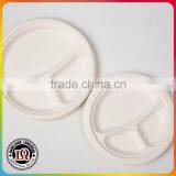 Disposable 3 Section Bagasse Restaurant Plate