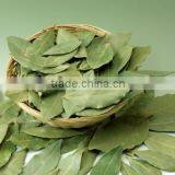 High Quality Laurel Leaf Soap thumbnail-1