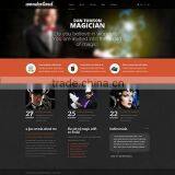 Web Designing Firms thumbnail-4