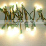 Express Mini Black Led String thumbnail-3