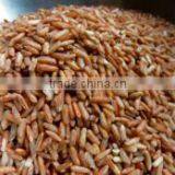 Suvimie Traditional Rice (Rathkada) thumbnail-2