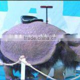 Ice Age Simulation Animals Glyptodont for Sale