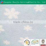 Two-side Brushed One-side Antipilling Custom Print Polar Fleece Fabric ZJ047 thumbnail-1