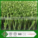 Volleyball Grass thumbnail-3