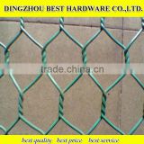 green pvc coated chicken wire mesh
