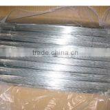 Low Price Electro Galvanized Iron Straight Cut Wire(Tommy,Whatsapp:+86-18032821161,website:zheng.tommy1)