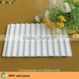 Hot Sale Wood Plastic Composite Wall Panel Waterproof WPC Wall Panel