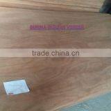 Burma A Grade Gurjan Face Veneer thumbnail-2