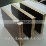Laminating plywood/Shuttering Plywood/Film Faced Plywood