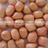 peanut kernel from China