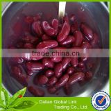 High quality new crop canned red kidney beans