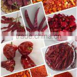 China Manufacture and Export Processed Chilli Products thumbnail-2