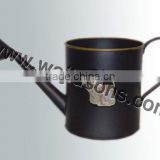 Cheap Decorative Watering Canes, Watering Cane Sale
