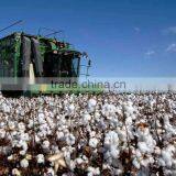 High Purity Competitive Price Mepiquat Chloride for Agricultural Crops thumbnail-5