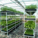Piping Type Hydroponic System thumbnail-2