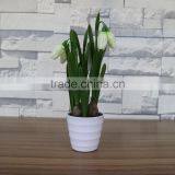 Table Artificial Mini Saussurea Flower Bonsai for Home and Commercial Decoration thumbnail-3