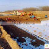 Supply Geosynthetic Clay Liner Used in Artificial Lake thumbnail-5