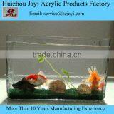 Hot Selling Aquarium Tank Fish thumbnail-3