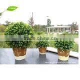 GP002-03 GNW Baby Tree Potted Artificial Plastic Plants Lifelike Grass for Home Garden Decoration