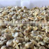 Frozen Yellow Clam Meat thumbnail-2