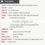 Hot Selling Artificial Green Wall Artificial Succulent Plant Artificial Vertical Garden thumbnail-2