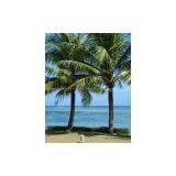 Camouflage Tower thumbnail-3