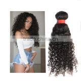 Wholesale Hair Extensions China, Virgin Brazilian Malaysian Peruvian Hair Wholesale, Malaysian Afro Kinky Curl Sew in Hair Weave thumbnail-1