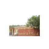 Tianjin Haolin Century International Trade Co., Ltd company overview - view 1 thumbnail