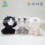 Cute custom cat toy with big eyes animal type stuffed toy