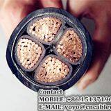 0.6/1 kV 4 Cores XLPE Insulated STA Power Cable thumbnail-3