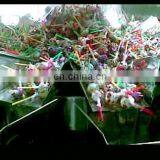 304 Stainless Steel Stagger Electric Automatic 10 Head Multihead Weigher thumbnail-6