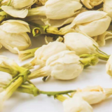 Jasmine Tea thumbnail-3