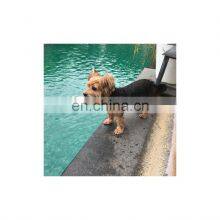 High Efficiency New Energy Efficient Energy Saving Pool Solar Ionizer