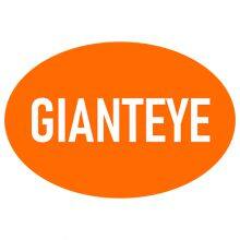 Shenzhen Gianteye Technology Co., Ltd. company overview - view 1 thumbnail