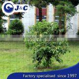 Anti Bird Protection Netting for Airport,greenhouse Net , Anti Bird Protection Net,plastic Anti Bird Net thumbnail-2