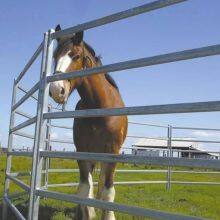 High Quality Galvanized Corral Panels Cattle Horse Cow Sheep Fence Panels Sustainable Horse Arena Fencing thumbnail-4