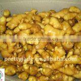 Premium Chinese Yellow Ginger thumbnail-1