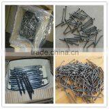 Hot Sale Manufacturer 5 Inch Common Nail Galvanized Nail thumbnail-1