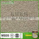 Easy Constructed and Natural Color Waterproof Mastic Coating thumbnail-2