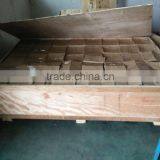 Standard Weights F2, F2 1mg-10kg Weight Set, Scale Calibration Weights thumbnail-5