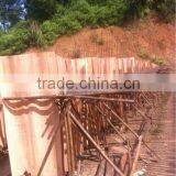 Eucalyptus Core Veneer thumbnail-2