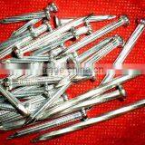 Russia Market Fast Sell Big Order Concrete Nails thumbnail-5