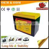 China Best 36v 12v 24ah Electric Rickshaw Electric Bike Battery thumbnail-4